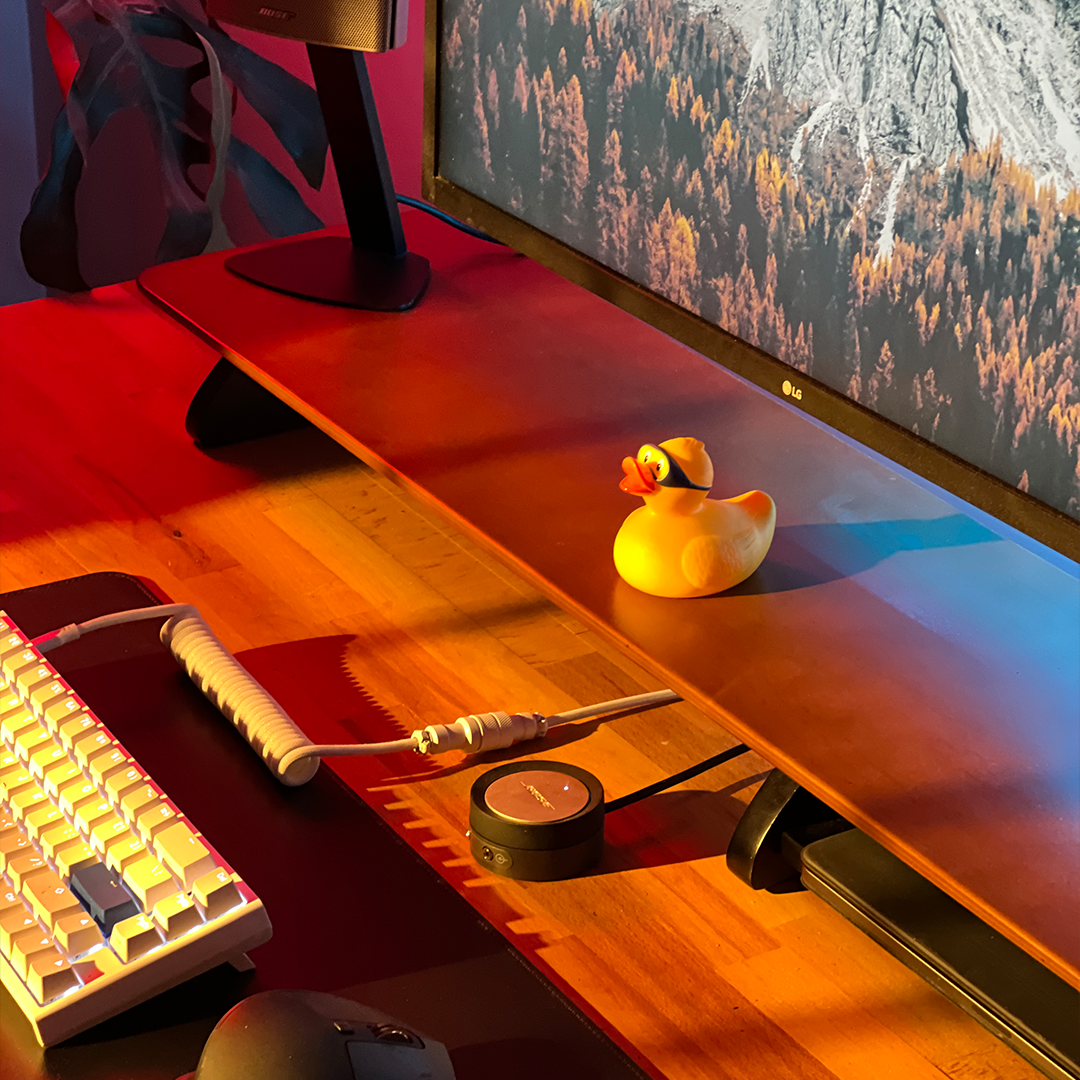 Woodsy Premium Monitor Stand - Desk Shelf