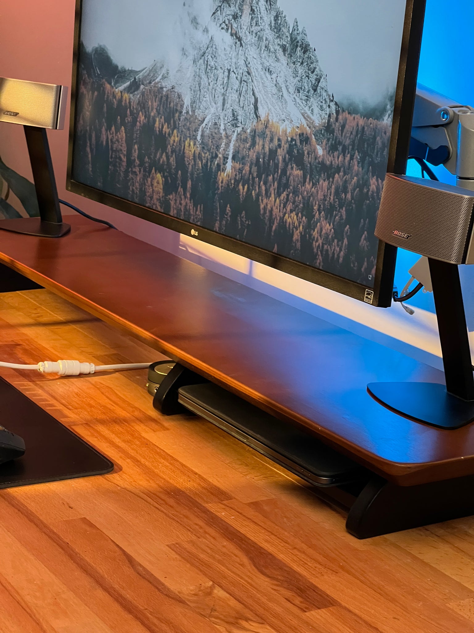Woodsy Premium Monitor Stand - Desk Shelf